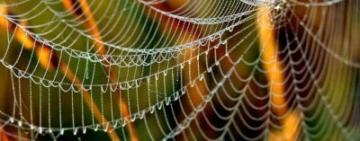 Синоптик розповів, коли до України прийде бабине літо